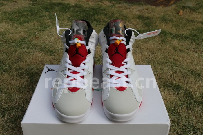 Authentic Air Jordan 6 “Hare”