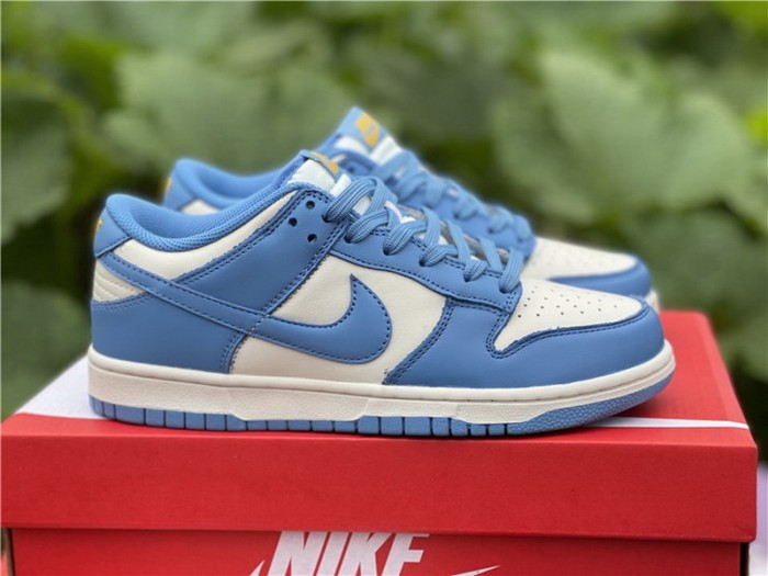 Authentic Nike Dunk Low  “Coast”
