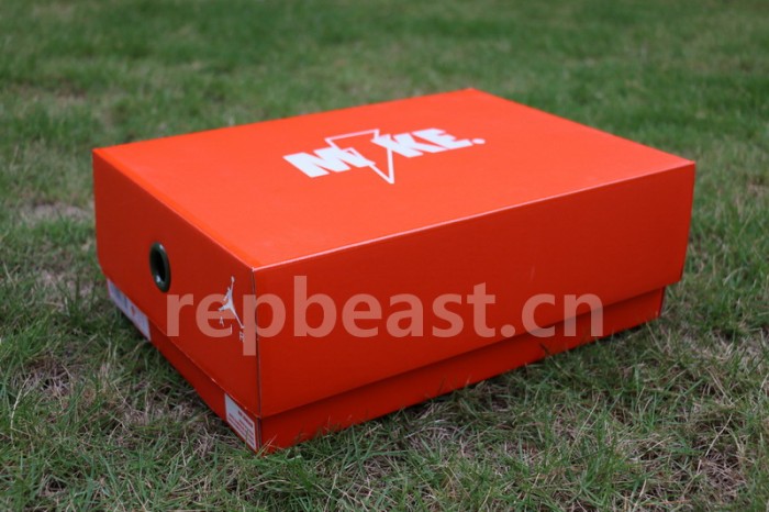 Authentic Air Jordan 6 “Gatorade”