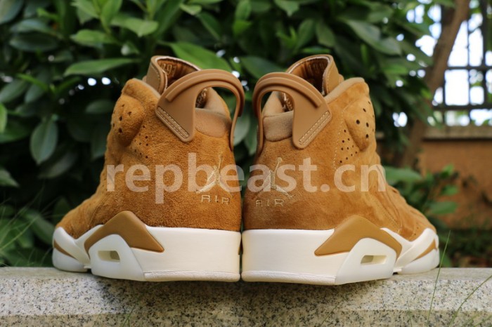 Authentic Air Jordan 6 “Golden Harvest”