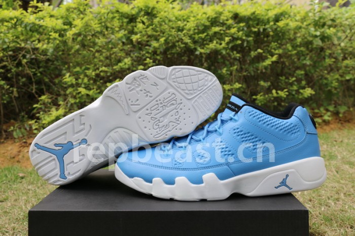 Authentic Air Jordan 9 Low Pantone