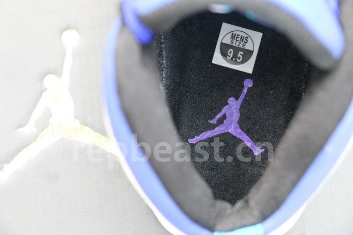 Authentic Air Jordan 10 “Charlotte