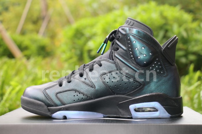 Authentic Air Jordan 6 “Chameleon”