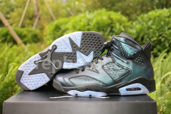 Authentic Air Jordan 6 “Chameleon”