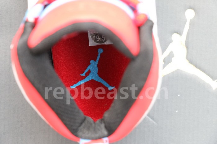 Authentic Air Jordan 10 “Chicago Flag”