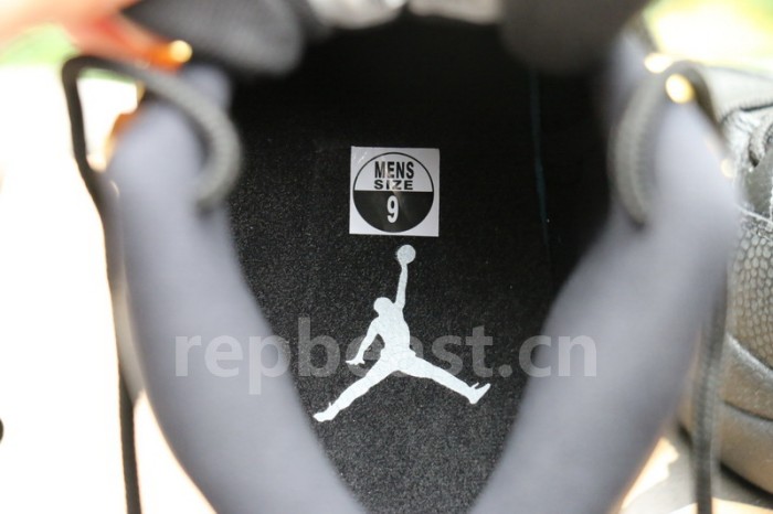 Authentic Air Jordan 12 “The Master”