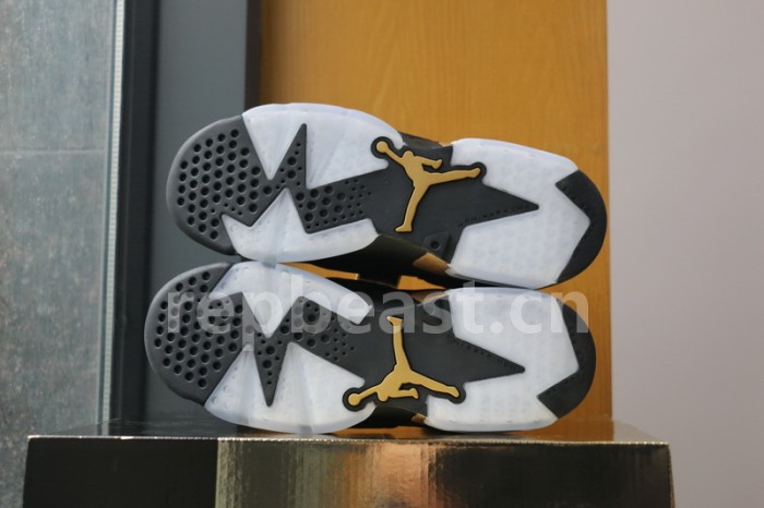 Authentic Air Jordan 6 DMP GS