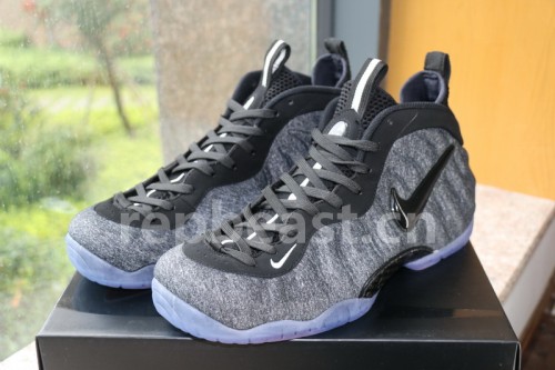 Authentic Nike Air Foamposite One Wool