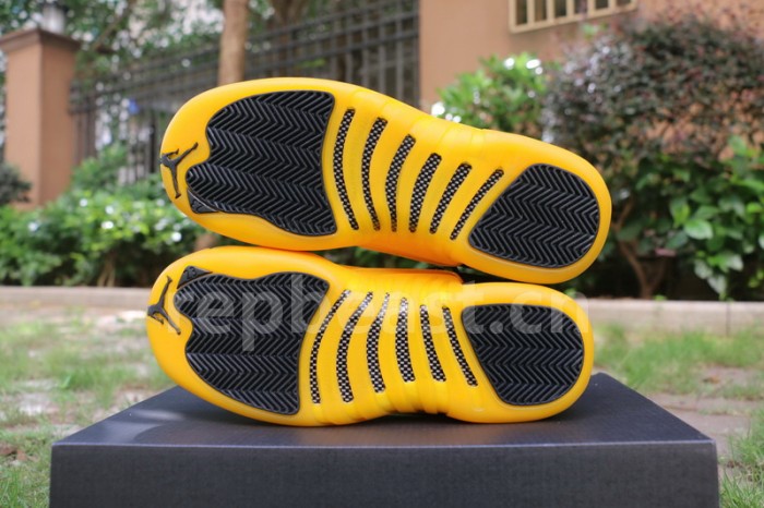 Authentic Air Jordan 12 “University Gold”  GS