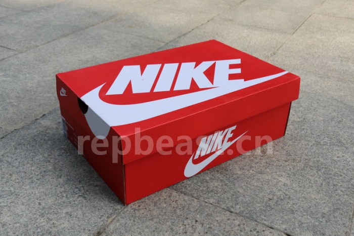 Authentic Nike Dunk Hi Blue White
