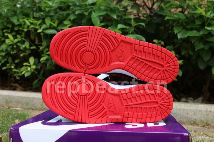 Authentic Nike Dunk Low “Samba”