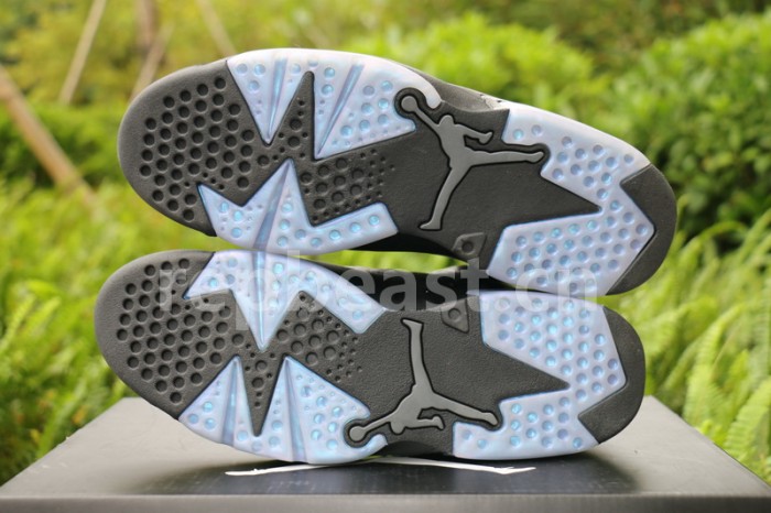 Authentic Air Jordan 6 “Chameleon”
