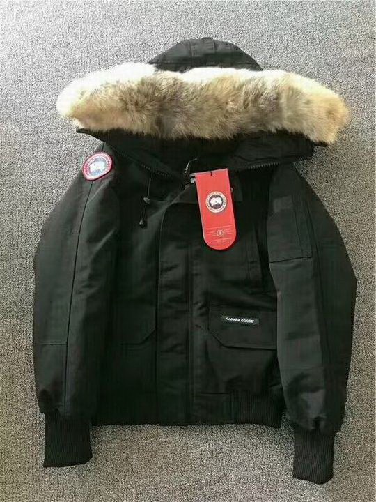 CG Down Jacket men-625