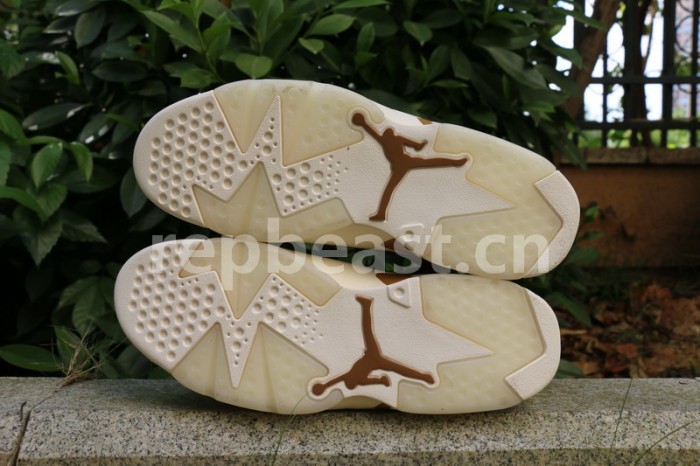 Authentic Air Jordan 6 “Golden Harvest”
