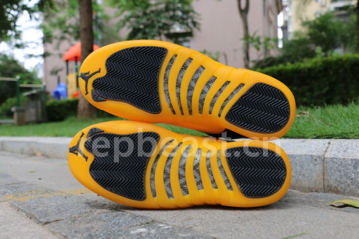 Authentic Air Jordan 12 “University Gold”