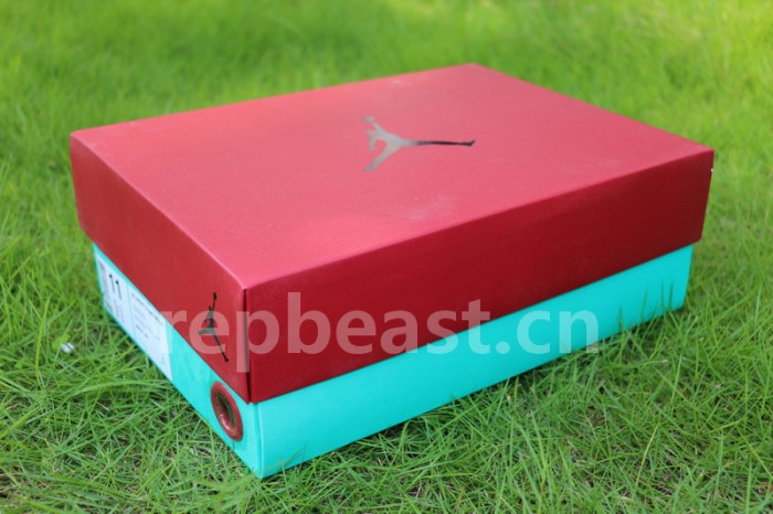Authentic Air Jordan 13 Singles Day