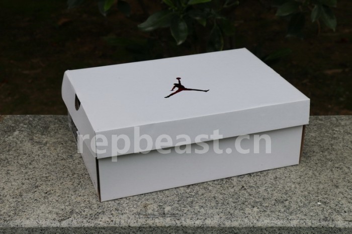 Authentic Air Jordan 4 “Red Metallic”