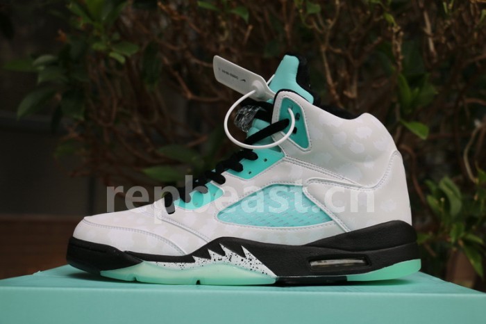Authentic Air Jordan 5 “Island Green”