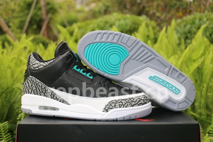Authentic  Air Jordan 3 Atmos Elephant