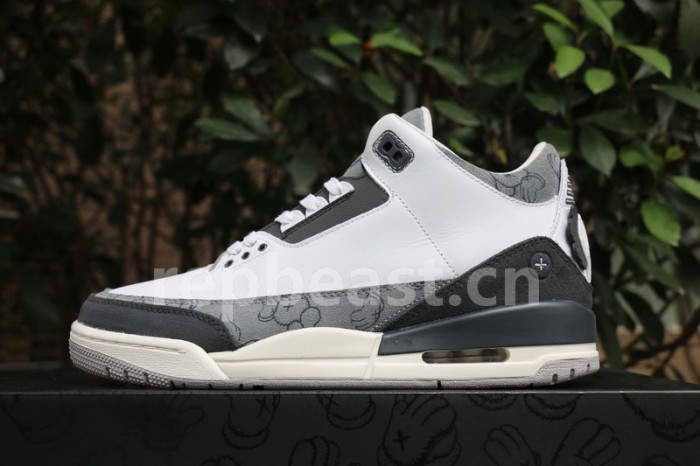 Authentic Air Jordan 3 Kaws