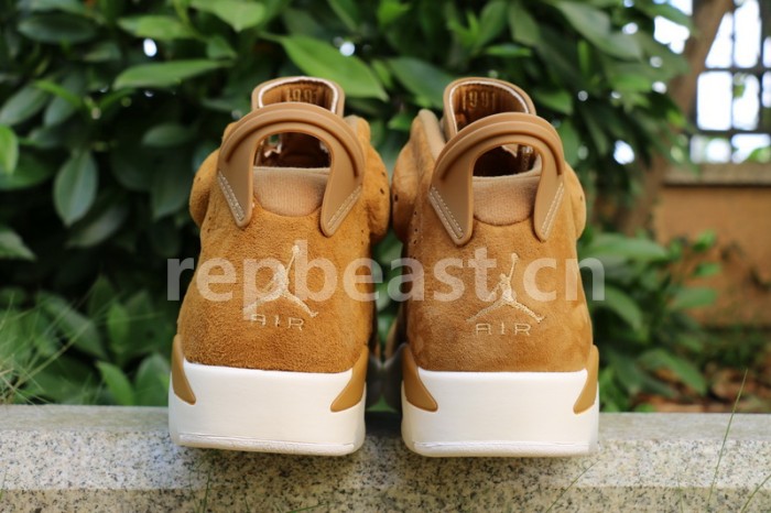 Authentic Air Jordan 6 “Golden Harvest”