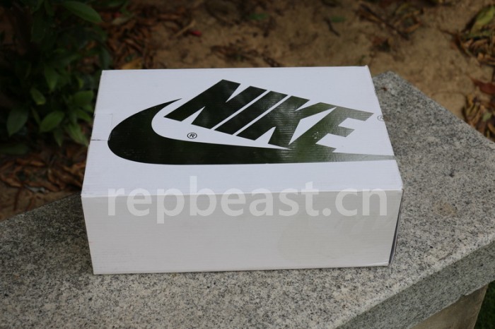 Authentic Sacai x Nike LDV Waffle Static