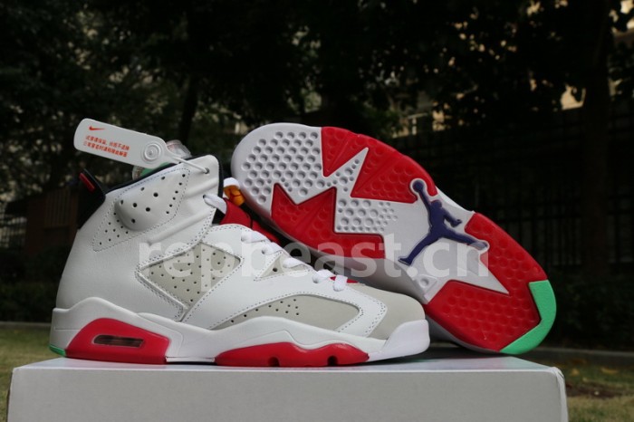 Authentic Air Jordan 6 “Hare”