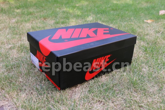 Authentic Air Jordan 1 “Court Purple”GS