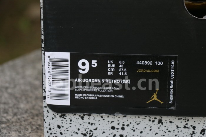 Air Jordan 5 “Light Aqua”