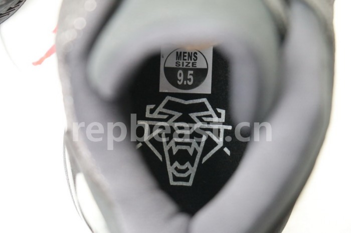 Authentic Air Jordan 13 Black Cat