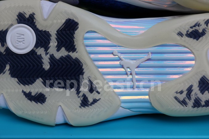 Authentic Air Jordan 14“Doernbecher” White