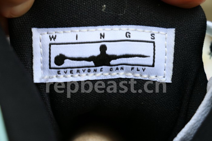 Authentic Air Jordan 5 “Wings”