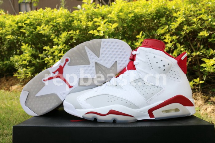 Authentic Air Jordan 6 Alternate