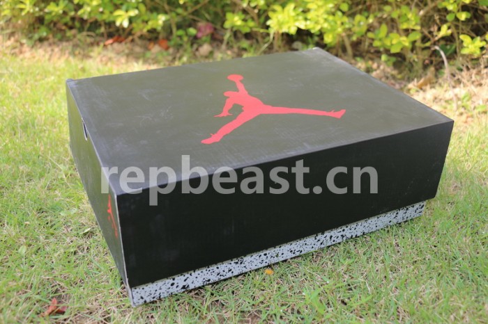 Authentic Air Jordan 6 Alternate