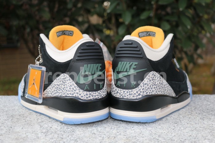 Authentic Air Jordan 3 “atmos”