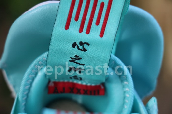 Authentic Air Jordan 33 BV5072 101