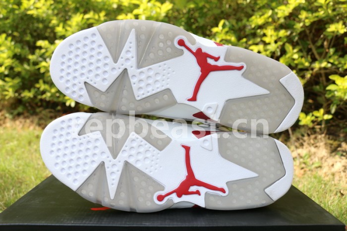 Authentic Air Jordan 6 Alternate