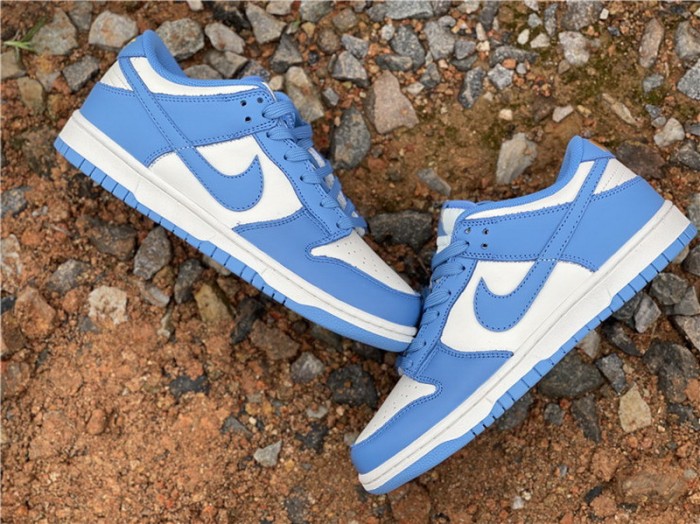 Authentic Nike Dunk Low  “Coast”
