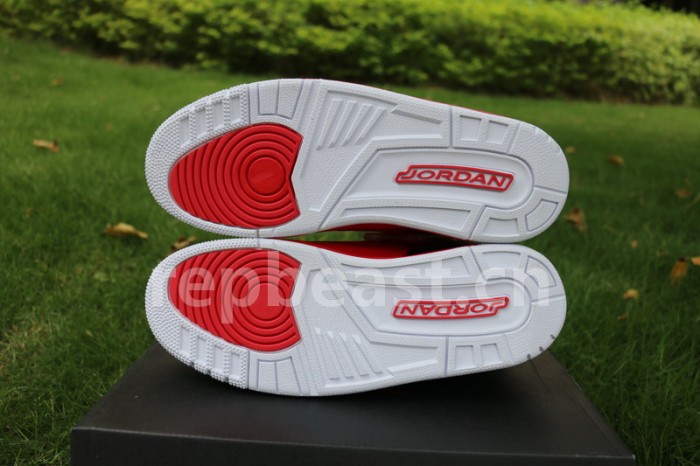 Authentic Air Jordan 3 “Grateful”