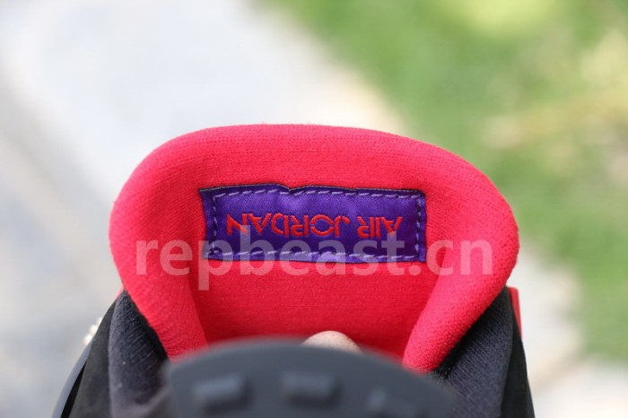Authentic Air Jordan 4 NRG Raptors