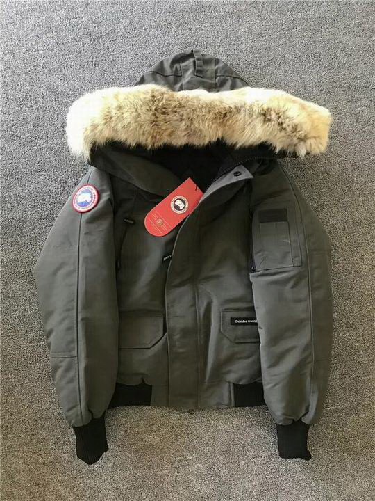 CG Down Jacket men-623