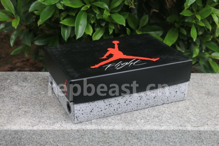 Authentic Air Jordan 4 “Wings”