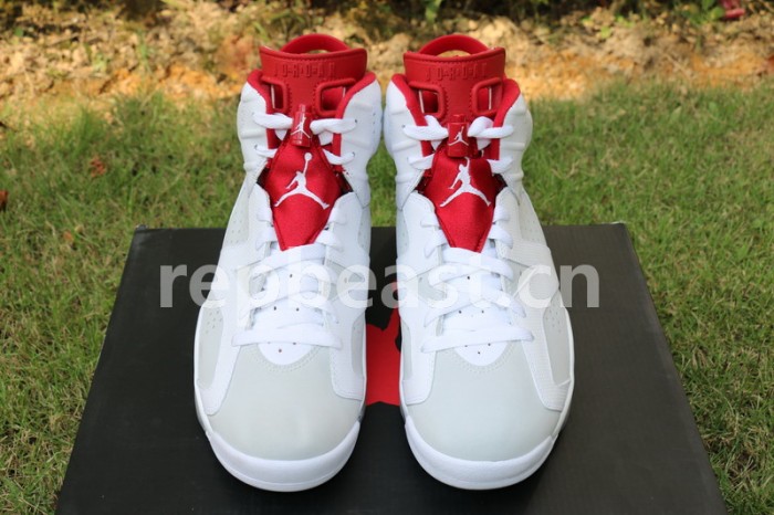 Authentic Air Jordan 6 Alternate