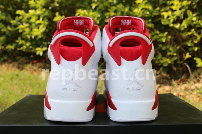 Authentic Air Jordan 6 Alternate