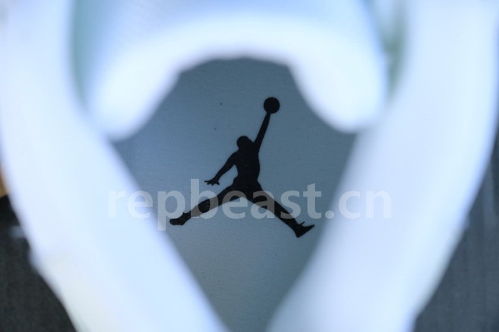 Authentic Air Jordan 11 PREM White Snakeskin