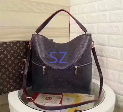 LV Hangbags AAA-234