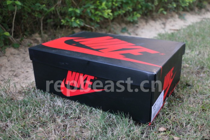 Authentic Air Jordan 1 OG Blue Moon