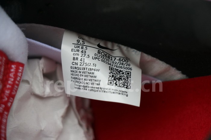 Authentic Nike Dunk SB Low “Chicago”
