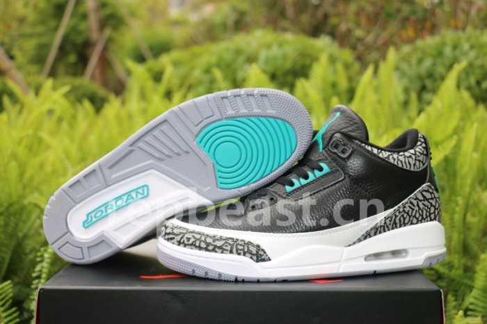 Authentic  Air Jordan 3 Atmos Elephant