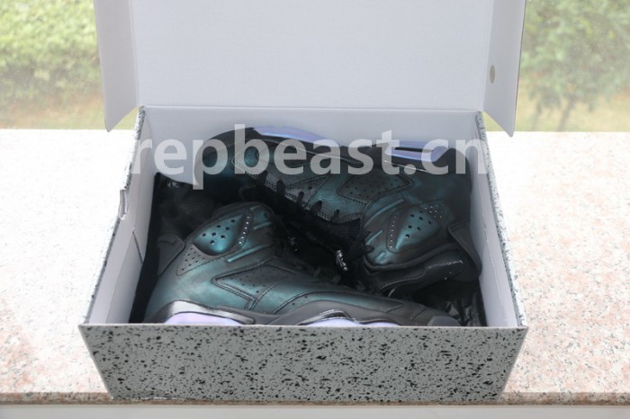 Authentic Air Jordan 6 “Chameleon”